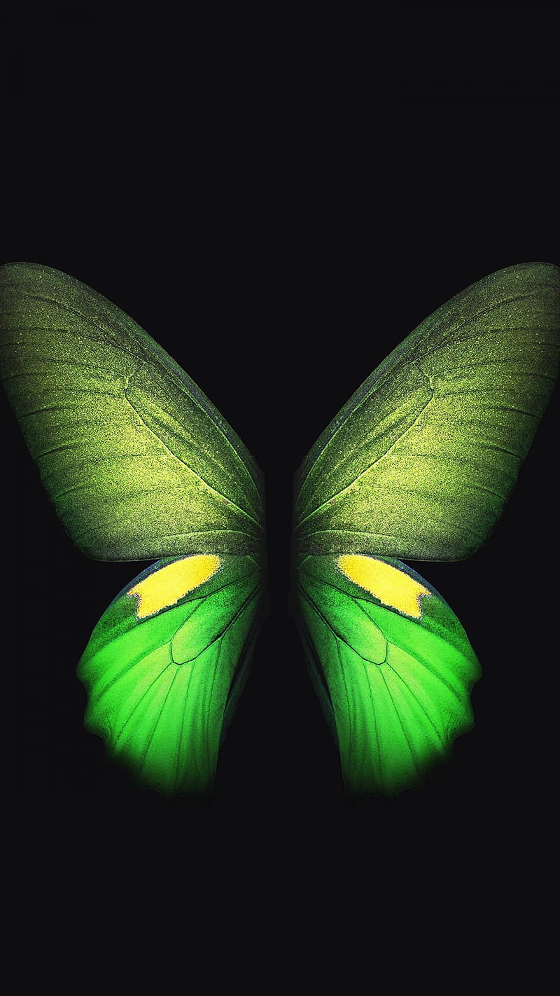 Green Butterfly , creative, graphics, samsung galaxy fold, HD phone wallpaper