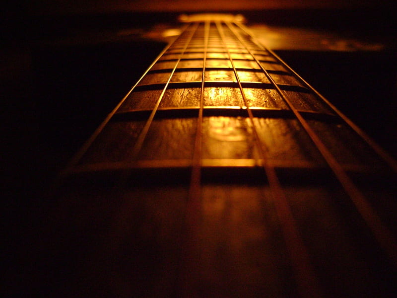 Guitar strings, guitar, stiring, music, chords, HD wallpaper