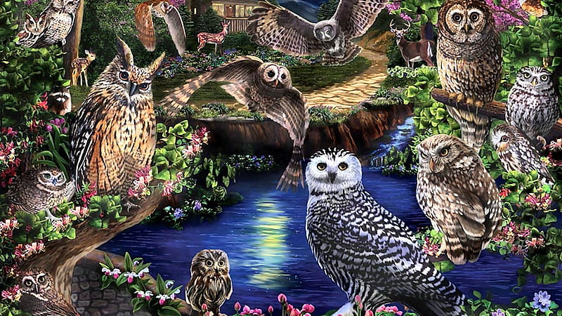 birds-art-animal-painting-avian-owls-bird-wildlife-artwork-forest-eagle-, Familie, Wasser, Wald, Eulen, Deutschland, HD wallpaper