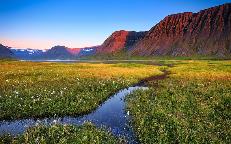 Iceland, mountains, meadow, creek, summer, Europe, HD wallpaper