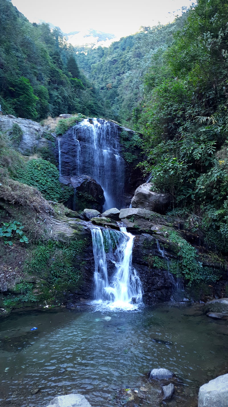 Darjeeling Falls, fall, forest, hill, hills, mountain, nature, rock garden, waterfall, HD phone wallpaper