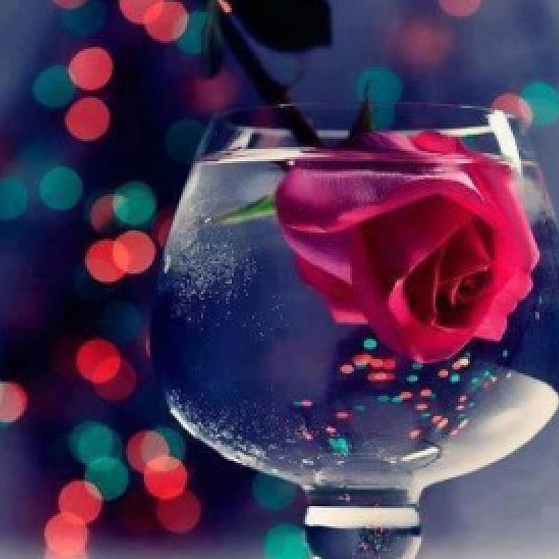 *Emotion is a sigh that makes echo in *, glass, pink rose, water, bokeh, bonito, lights, HD wallpaper