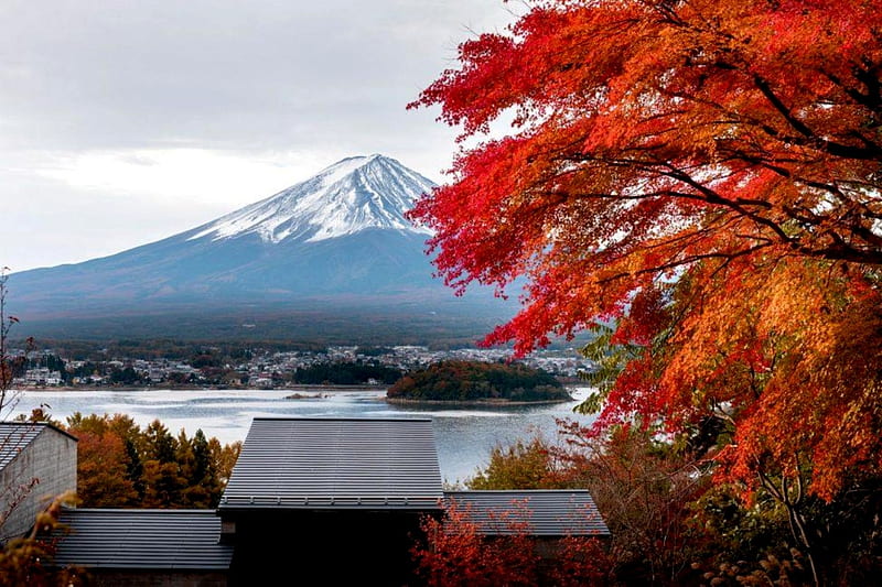 Japan Fall Foliage Mr Fuji, Fall, japan, Mt Fuji, Foliage, HD wallpaper