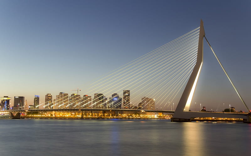 Erasmus Bridge, Rotterdam, Erasmus, Cable stayed and bascule, Bridge, Holland, HD wallpaper