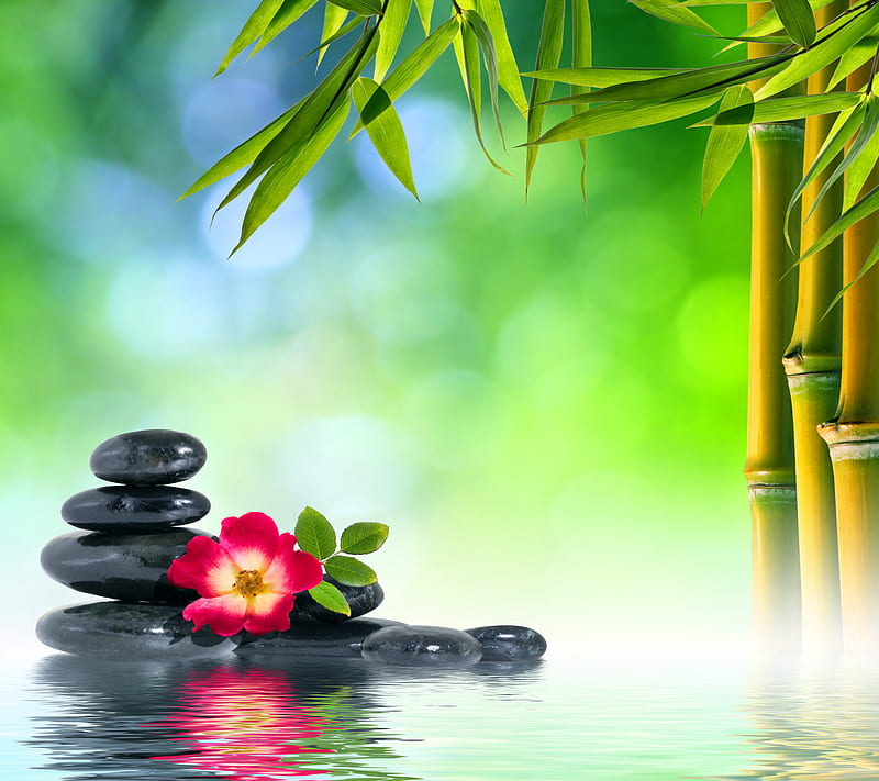 Relaxing Spa, flower, reflection, relax, stones, water, HD wallpaper