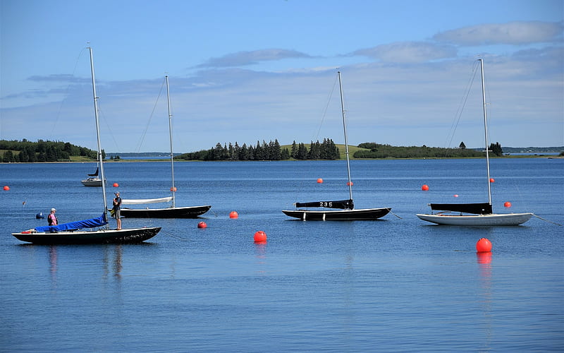 sailboats in chester