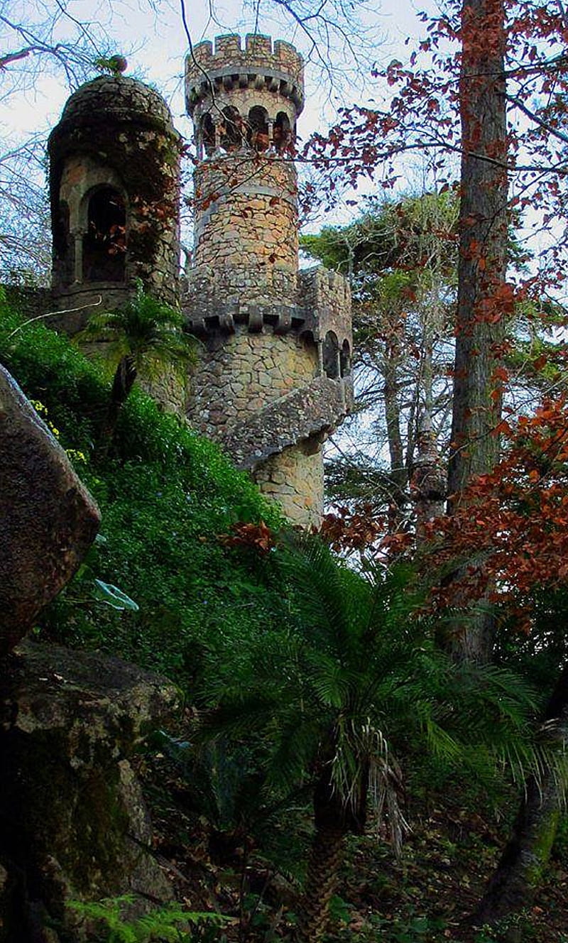 Abandoned castle, forest, isolation, HD phone wallpaper
