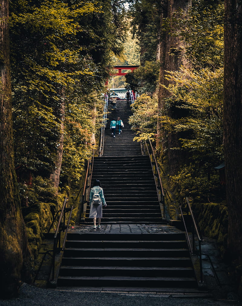 three person walking on stairs between green trees, HD phone wallpaper
