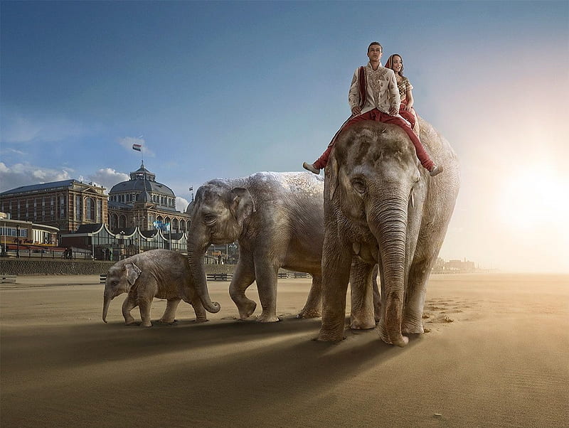 Wrong destination, adrian sommeling, fantasy, elephant, people, creative, couple, situation, HD wallpaper