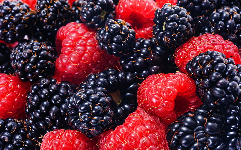 raspberries, blackberries berries, macro, fresh fruits, dew, fruits, HD wallpaper