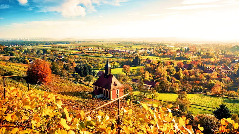 Autumn Vineyard Colors,Germany, fall, autumn, house, germany, colors, vineyard, trees, leaves, nature, HD wallpaper