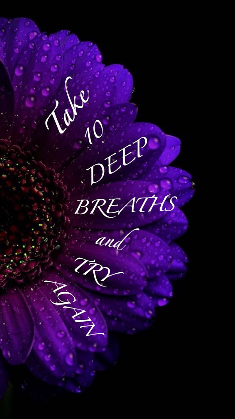 Calm down, anxiety help, flower, positive, purple, qoutes, HD phone wallpaper