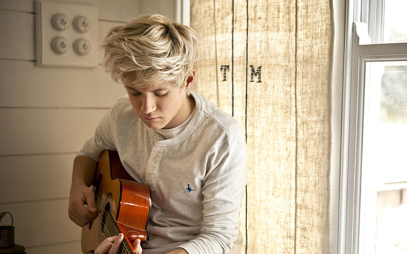 Niall Horan Irish singer, young artists, guitar, One Direction, HD wallpaper