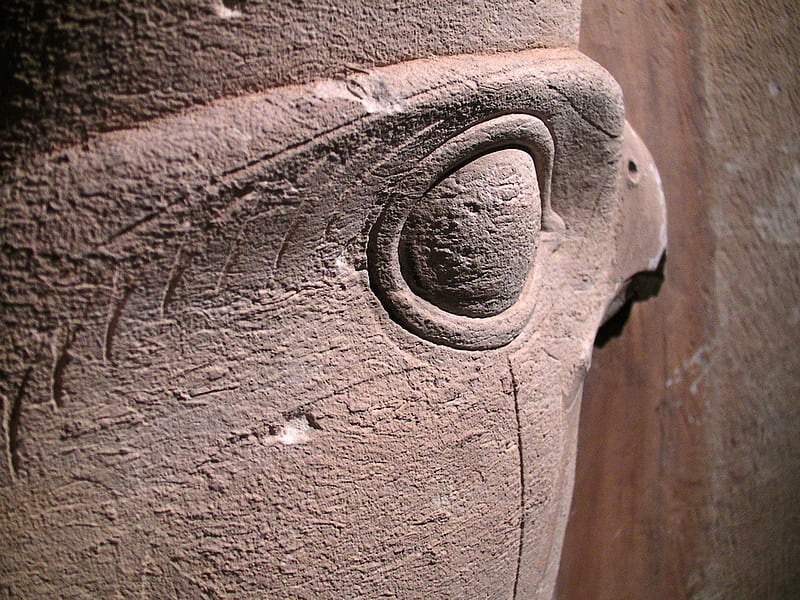 Horus, egyptian, god, egypt, HD wallpaper
