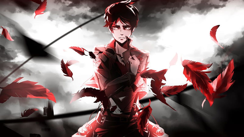 Levi Ackerman Red Feathers Black Sky Background Attack On Titan, HD wallpaper