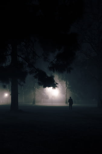 Foggy Night, foggy night, fog, woman, street, lights, weather, people ...
