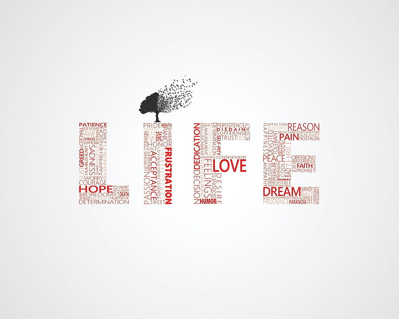 Life Meaning, life, life is, life means, meaning, HD wallpaper