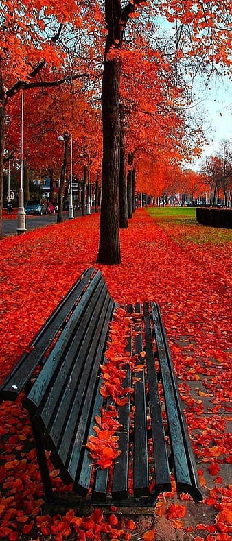 HD the most beautiful autumn wallpapers  Peakpx