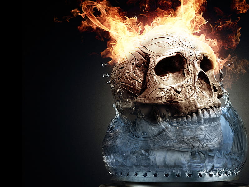 Skull, burn, fire, HD wallpaper