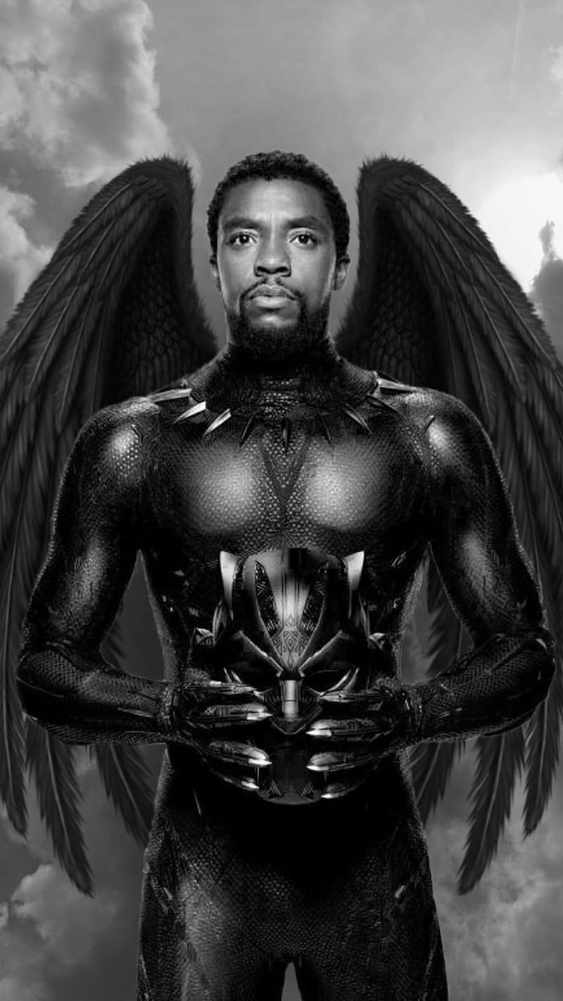 Black Panther, action, film, marvel, movie, super hero, HD phone wallpaper