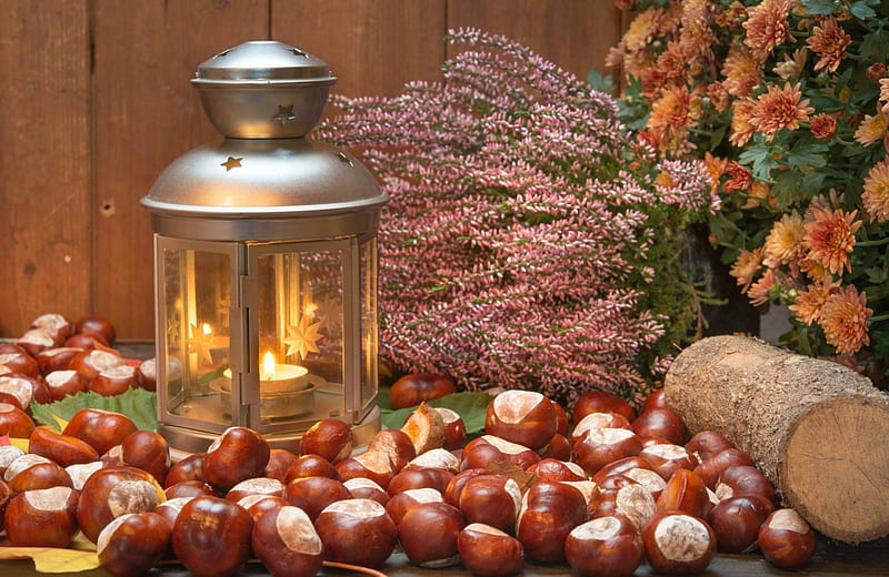 Autumn Still Life, candle, stars, Fall, lantern, chestnuts, log, flame, flowers, Still life, Autumn, HD wallpaper