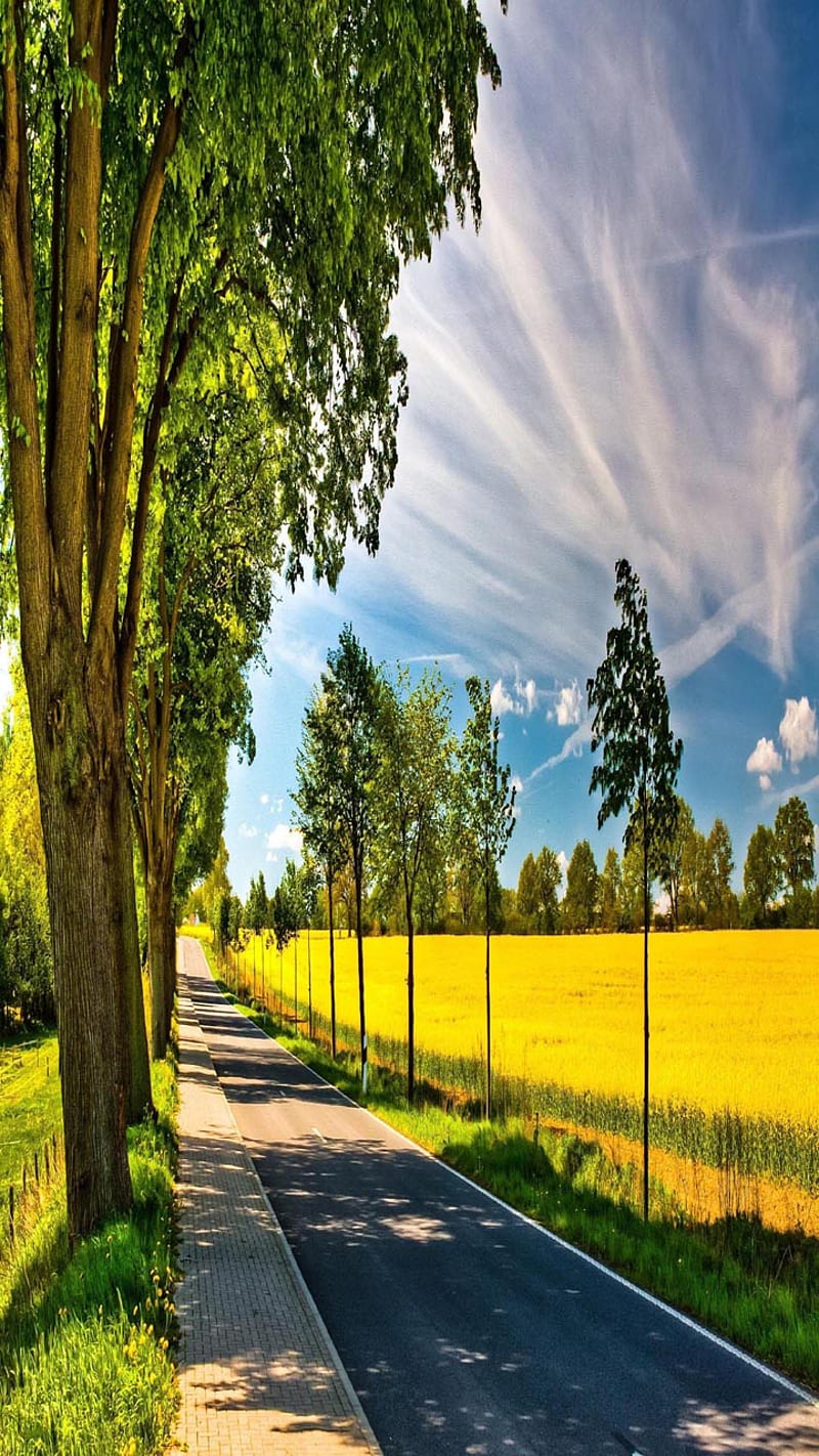 Sunny road, bonito, cute, look, nice, HD phone wallpaper | Peakpx