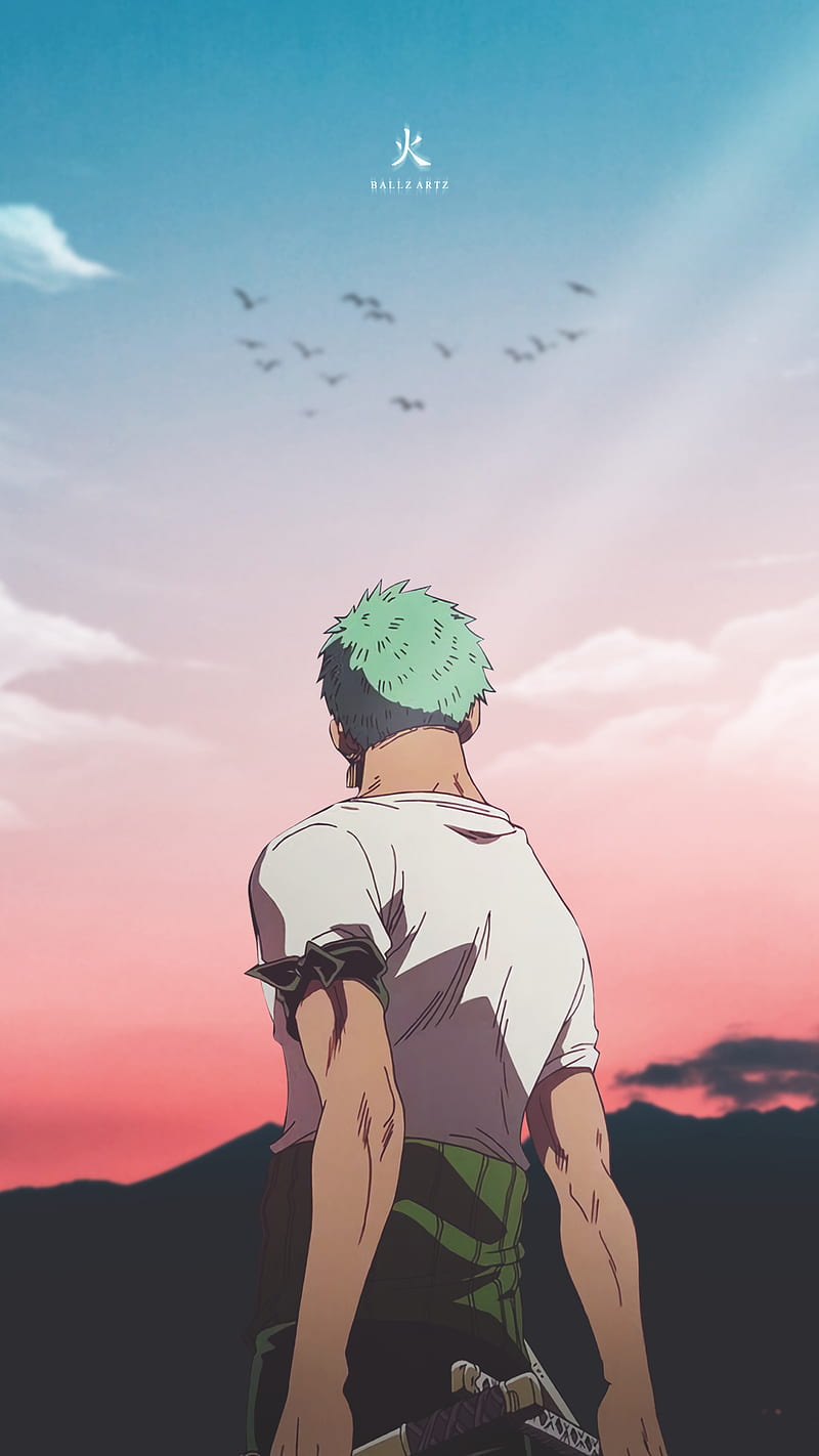 One piece, anime, zoro, HD phone wallpaper