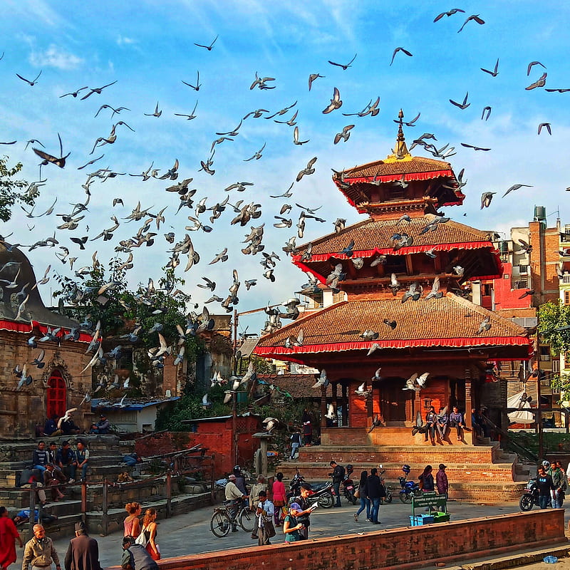 Beauty of Nepal, beautu, nepal, temple, HD phone wallpaper