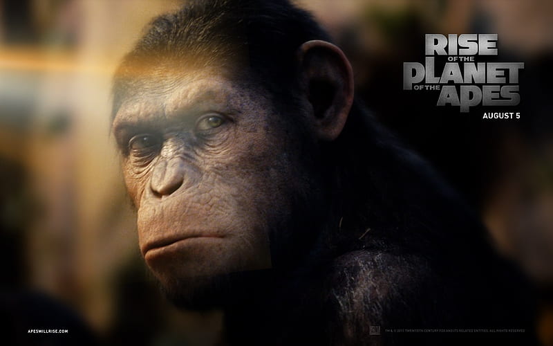 Rise of the Planet of the Apes movie 05, HD wallpaper