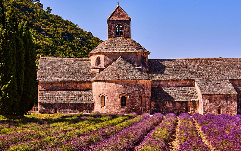 Provence, lavender field, lilac flowers, summer, France, old, architecture, church, Europe, HD wallpaper