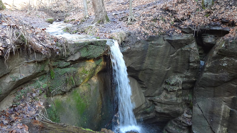 Little Lyons Falls in Spring, Forest, Spring, Waterfall, Nature, HD wallpaper