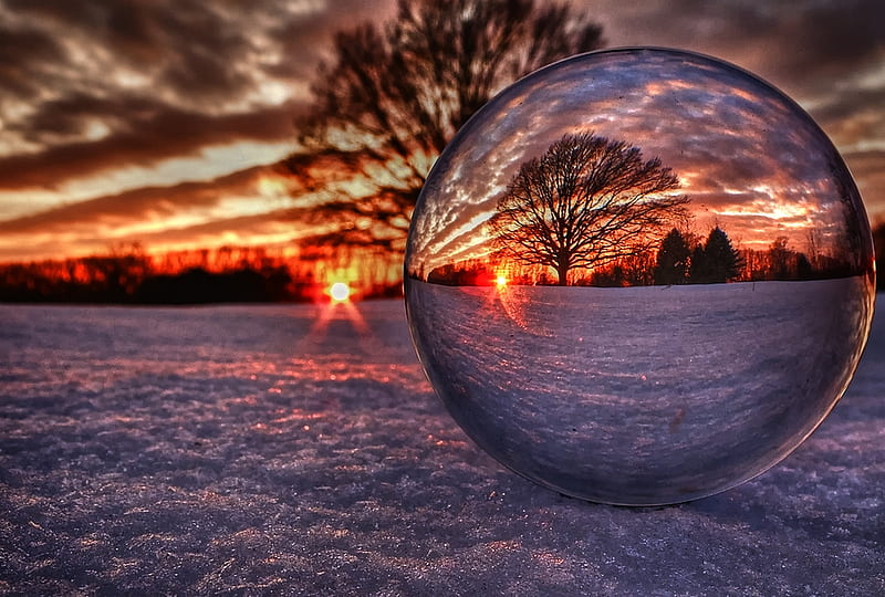 On the Bubble, globe, bubble, golden, bonito, sunset, blanket, tree, ball, snow, mirror, reflective, HD wallpaper