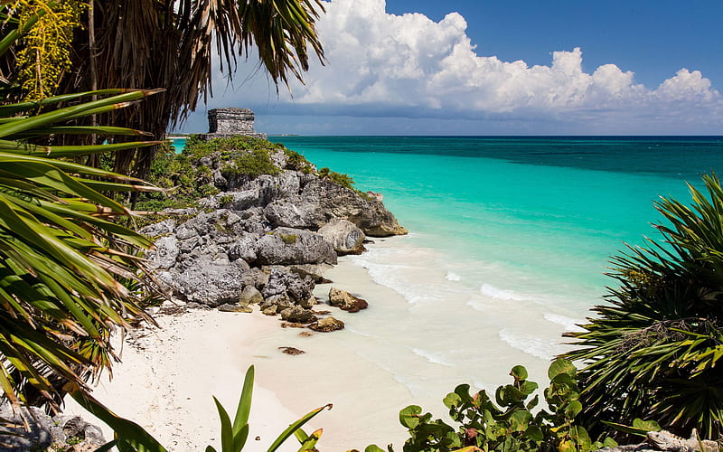 Caribbean Sea, coast, beach, palm trees, summer, Tulum, Mayan ruins, Mexico, HD wallpaper