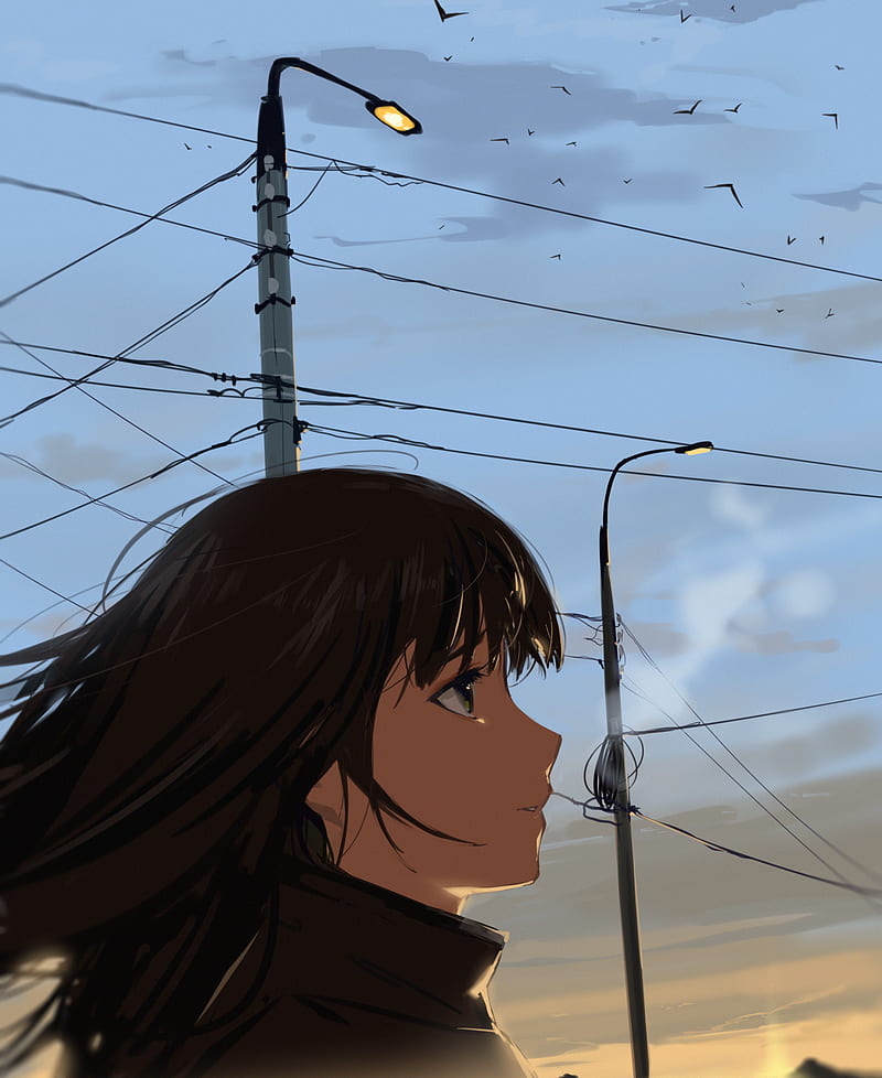 Girl, glance, sky, twilight, anime, HD phone wallpaper | Peakpx