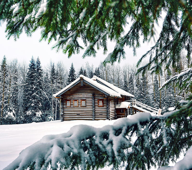 Winter house, cottage, frozen, needle, pine, snow, HD wallpaper