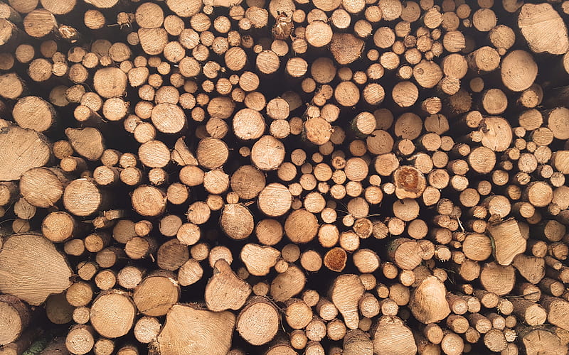 firewood textures macro, wooden backgrounds, wooden textures, firewood, wood logs textures, wood logs, HD wallpaper