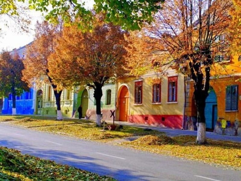 Happy colors in Praque, pretty, fall, autumn, warm, orange, houses, streetscape, seasons, cute, charming, Praque, blue, HD wallpaper