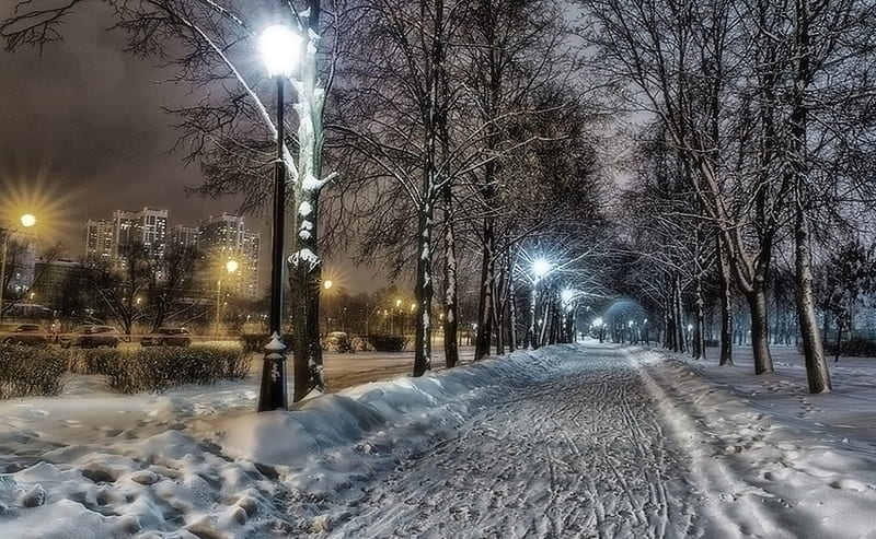 Lovely Winter, tree, snow, street, winter, HD wallpaper | Peakpx