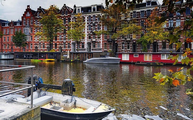 Amsterdam, morning, beautiful houses, streets, Amsterdam cityscape, Netherlands, HD wallpaper