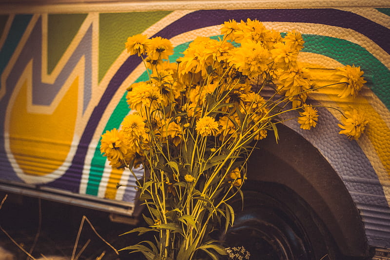 flowers, yellow, bouquet, bright, HD wallpaper