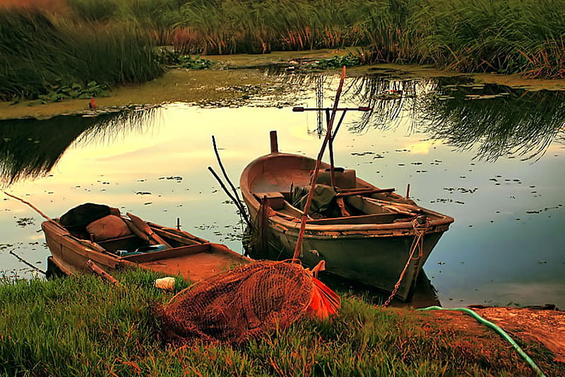 Fishing Time, nets, boats, grasses, swamp, scum, HD wallpaper