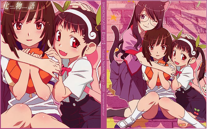 Anime, Monogatari (Series), Nadeko Sengoku, Mayoi Hachikuji, Tsubasa Hanekawa, Karen Araragi, Tsukihi Araragi, HD wallpaper