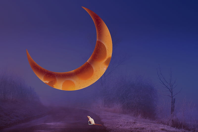 :D, moon, yellow, creative, sky, animal, moon, fantasy, year of the rat, cheese, 2020, mouse, rat, funny, blue, night, HD wallpaper