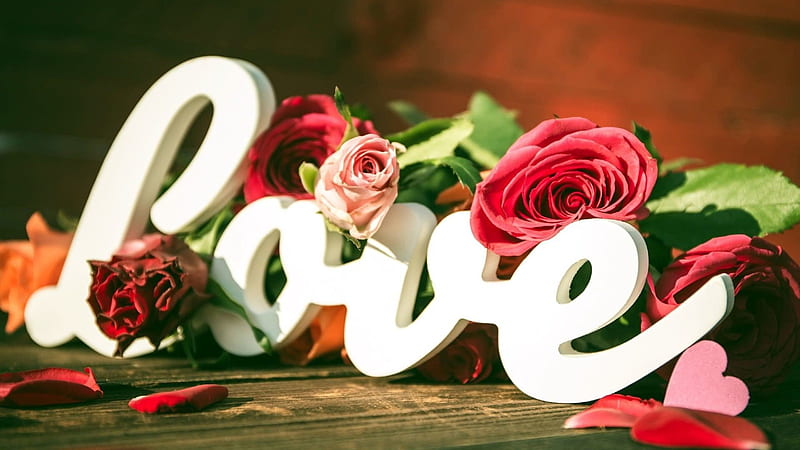 Love Word With Colorful Roses On Table Love, HD wallpaper