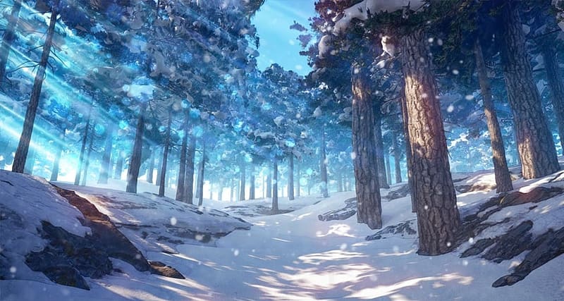 Winter forest, ho, havas fak, teli, ut, osveny, erdo, havazas, HD wallpaper