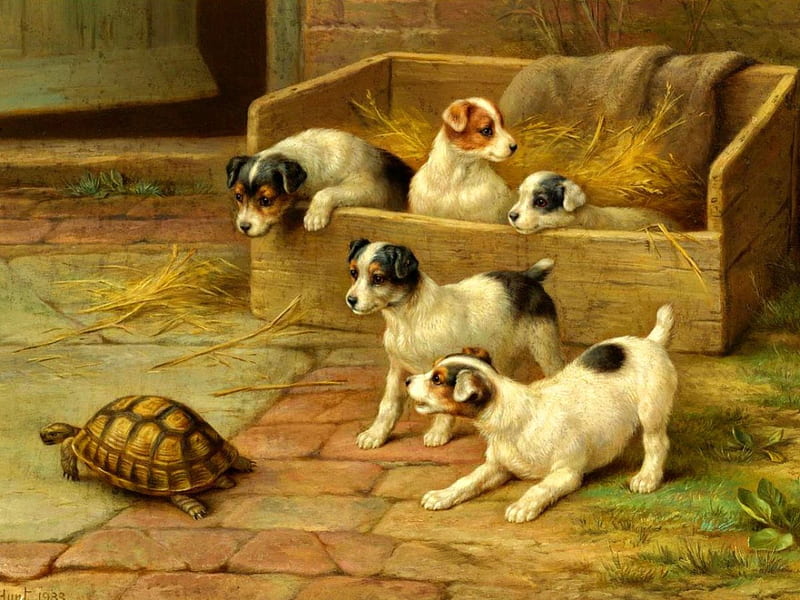 Playing with a stranger, playing, art, fun, adorable, turtle, joy, yard, sweet, cute, puppies, painting, friends, animals, dogs, HD wallpaper