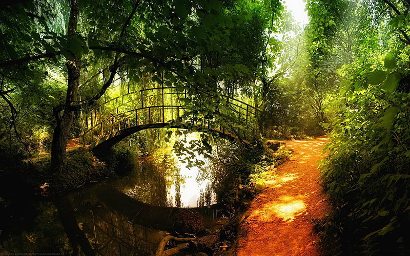 arched bridge reflections-forest landscape, HD wallpaper
