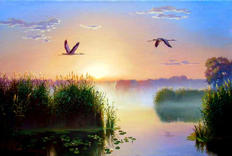 Peaceful Sunrise, birds, trees, lake, fog, mist, water, grasses, lily pads, egrest, sunrise, HD wallpaper