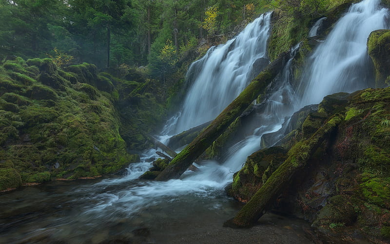 National Creek Falls, waterfall, forest, trees, beautiful waterfall, Oregon, USA, HD wallpaper