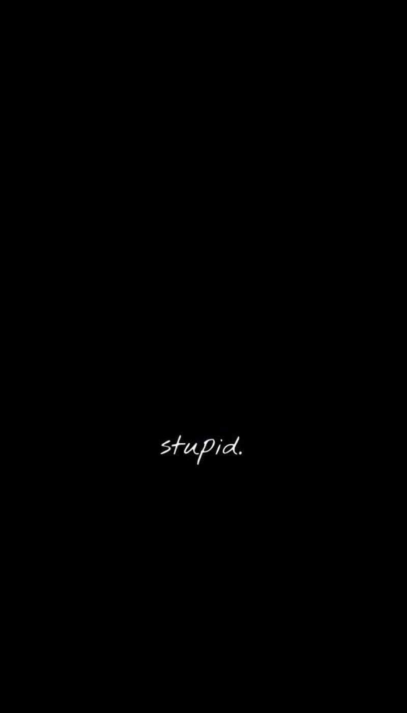 HD stupid text wallpapers | Peakpx
